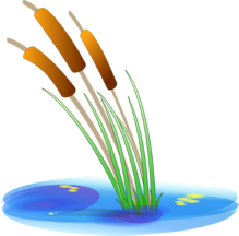 Jumping from Pad to Pad